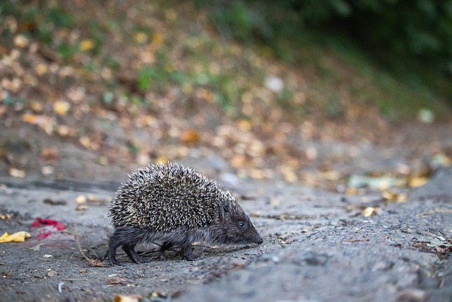 助攻完成致 助攻完成致