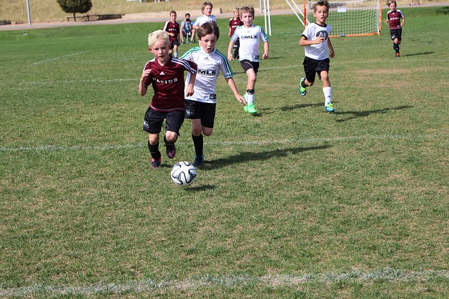 多家豪门俱 多家豪门俱