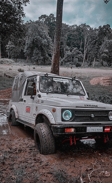 詹姆斯近年 詹姆斯近年