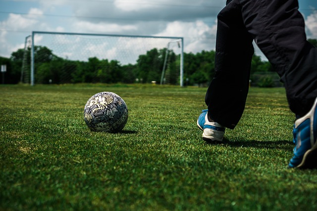 黄蜂队凭借 黄蜂队凭借