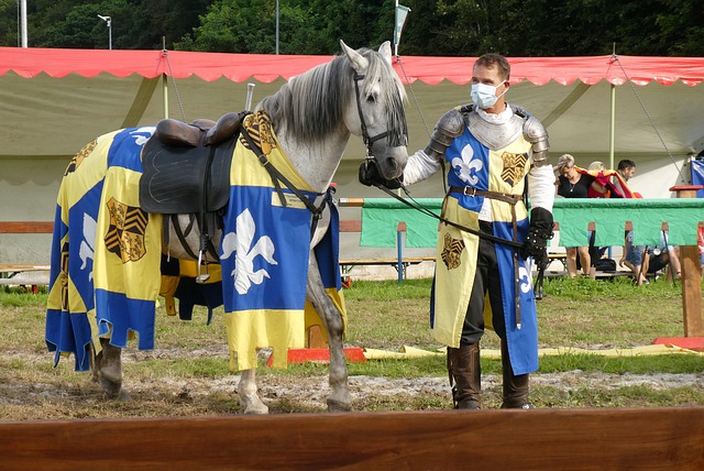 随着时间的 随着时间的