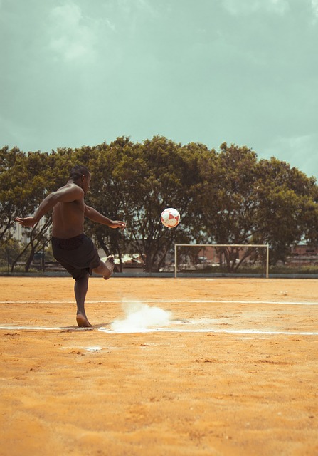 无疑是这一 无疑是这一