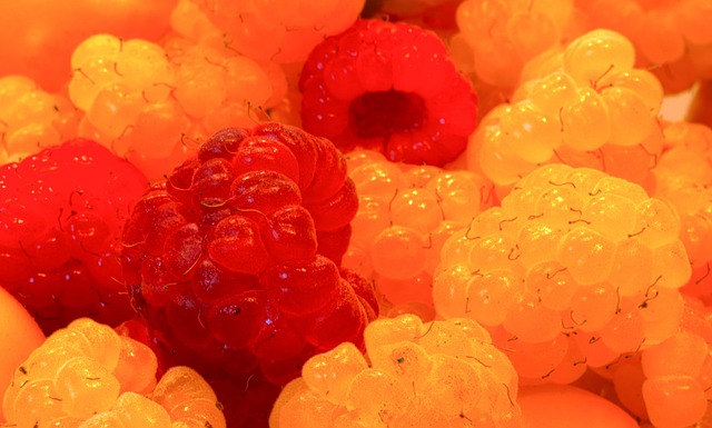 法國球星坎 法國球星坎